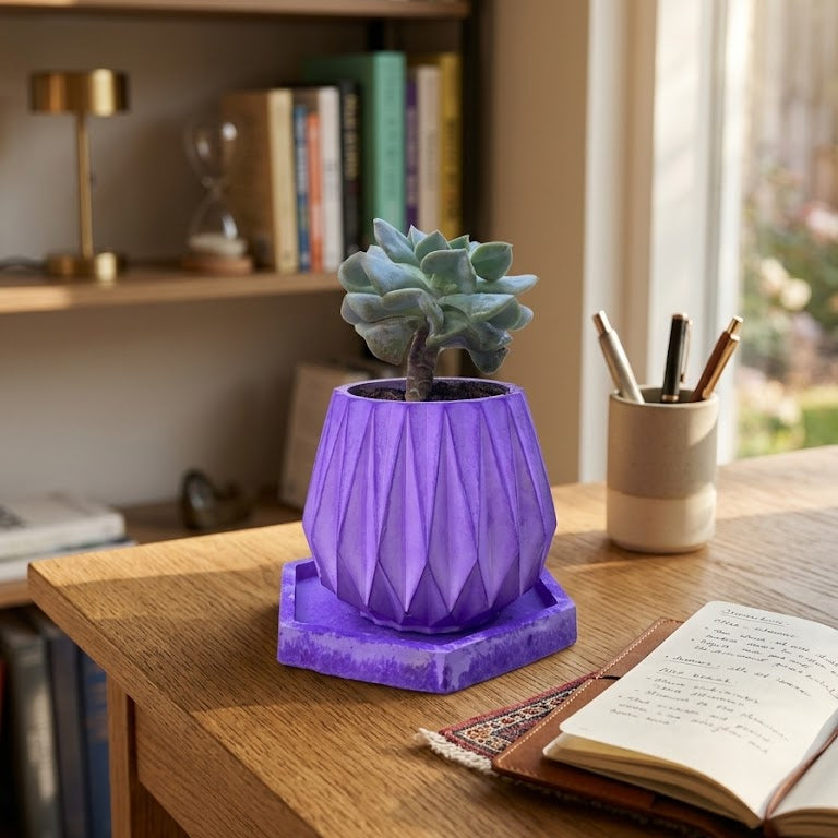 Echeveria 'Perle von Nurnberg in purple pot